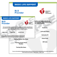 aha bls provider training